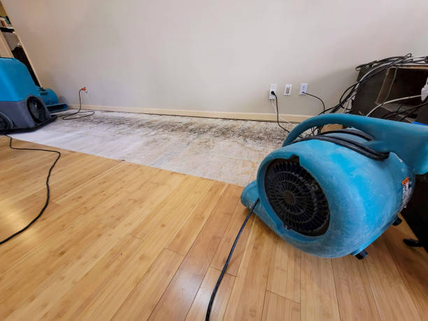 Professional Flood Damage Cleanup technician working in Ripon, WI